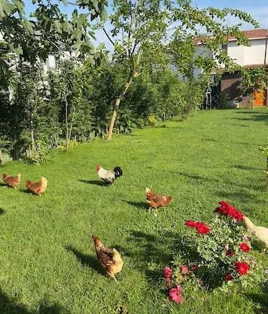 Escape To The Peaceful Countryside