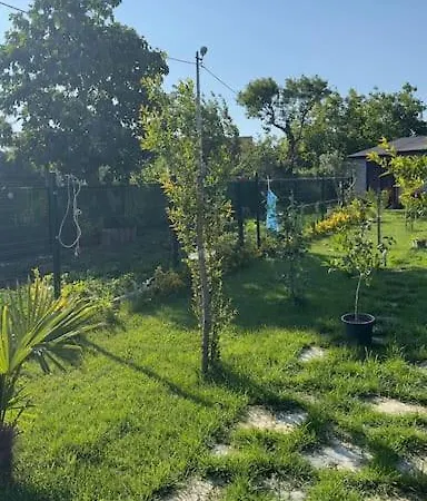 Escape To The Peaceful Countryside Istanbul